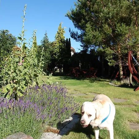 Etna Bed & Breakfast Dziwnówek