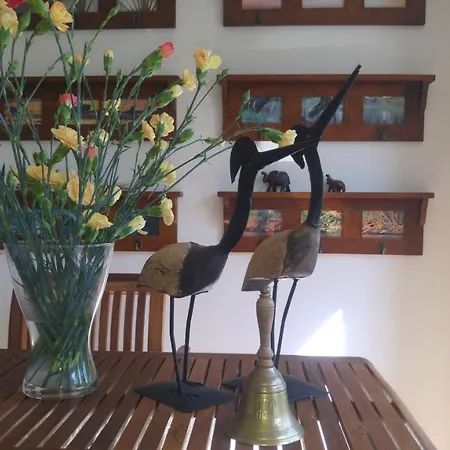 Bed & Breakfast Etna Dziwnówek