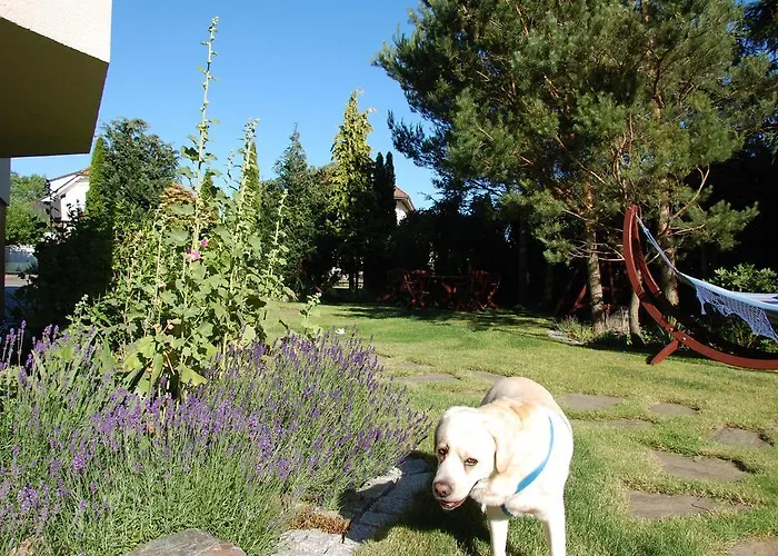 Etna Bed and breakfast Dziwnówek