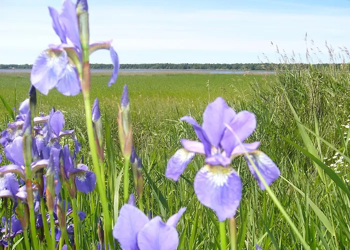 Etna Bed and breakfast 3*