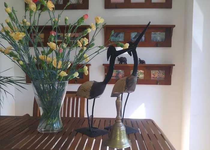 Bed and breakfast Etna Dziwnówek